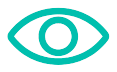 Vision Icon